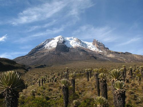 Procuraduría busca que los páramos colombianos sean declarados Patrimonio Natural