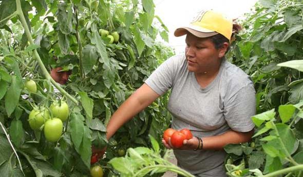 Mujeres rurales recibirán subsidio del 30 % en créditos de capitalización en el 2018