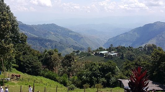 Obras de descontaminación realiza Cortolima en las Hermosas (Chaparral)