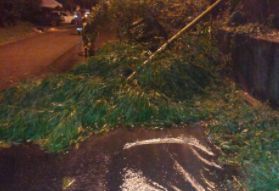 Organismos de socorro atendieron emergencias por fuertes lluvias en Ibagué