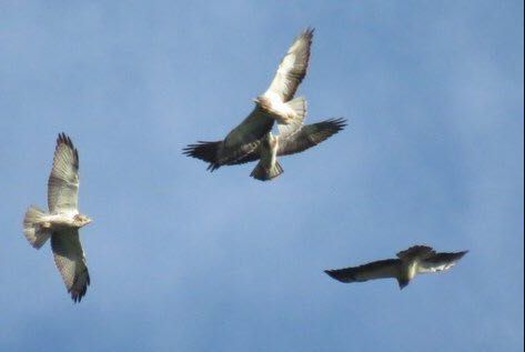 El cielo de Ibagué lució más imponente que nunca