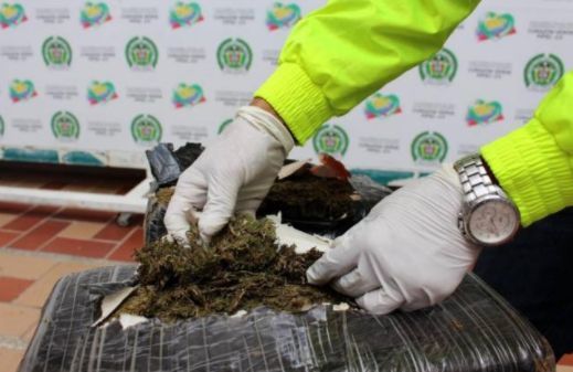 Autoridades han incautado cerca de 663.000 dosis de estupefacientes en Ibagué