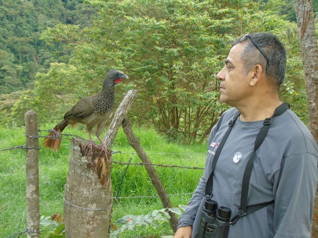 Colombia fue por segundo año consecutivo líder del Global Big Day