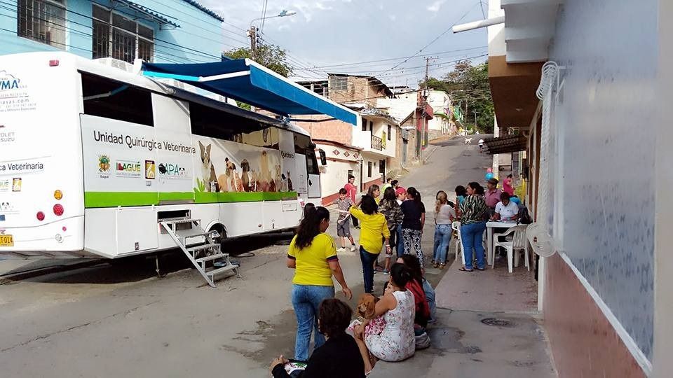 Cerca de 2.000 animales han sido esterilizados