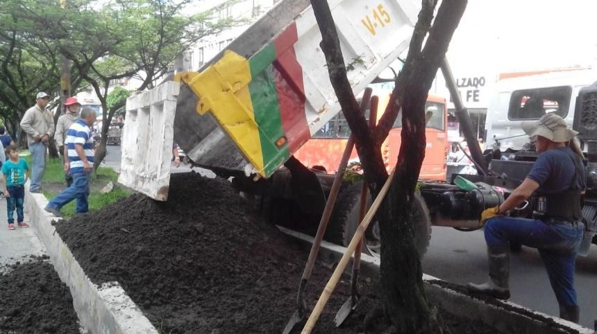 Realizan labores de recuperación y embellecimiento del separador de la calle 15