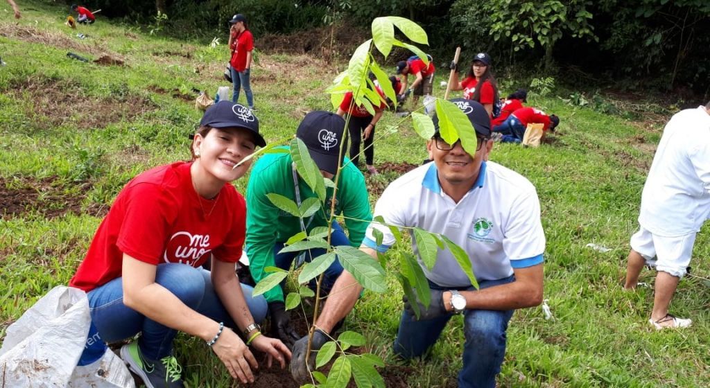 Voluntarios siembran más de 2000 árboles en la cuenca Chipalo de Ibagué