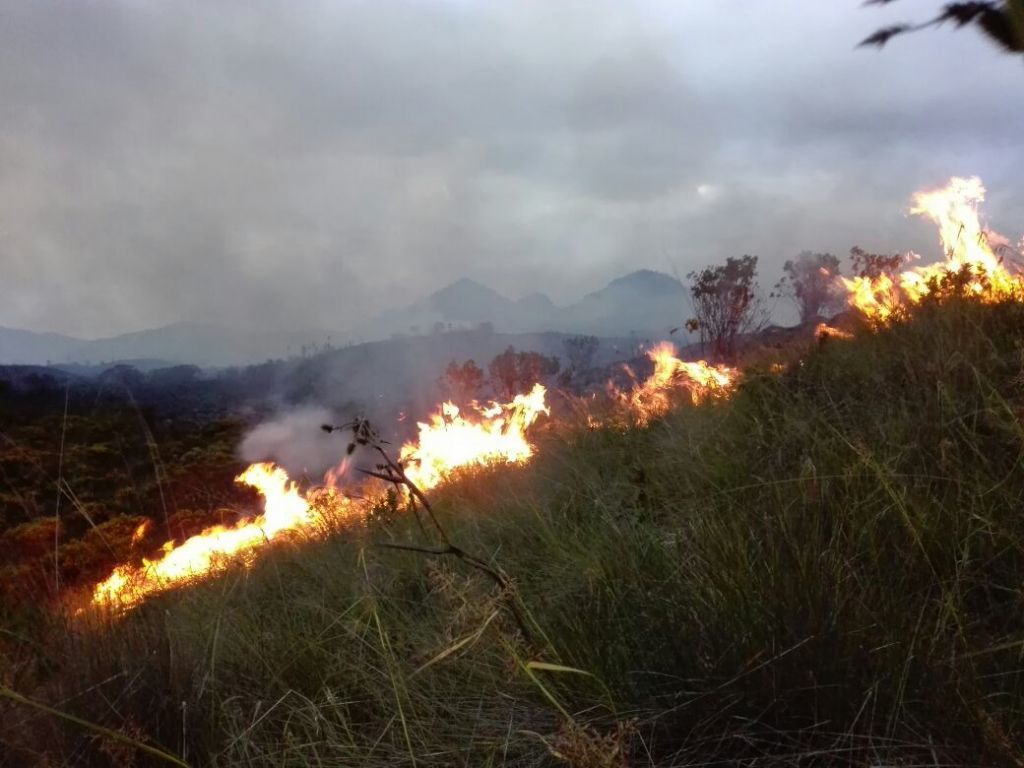 La zona rural de Suárez arde tras dos días de incendios forestales