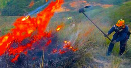 Carmen de Apicalá – fuego