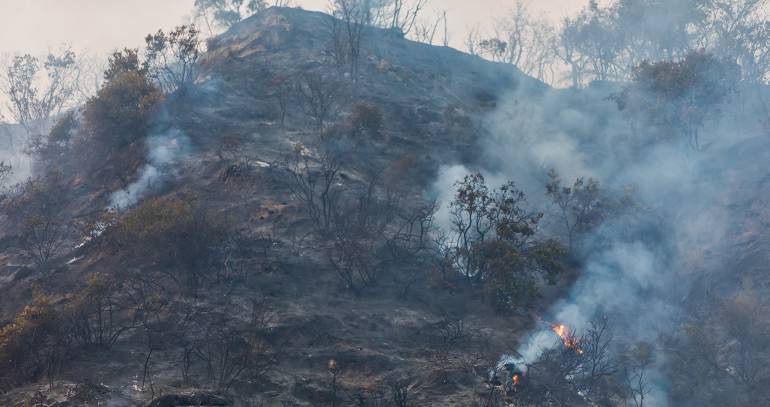 Organismos de socorro combaten incendio forestal en Melgar
