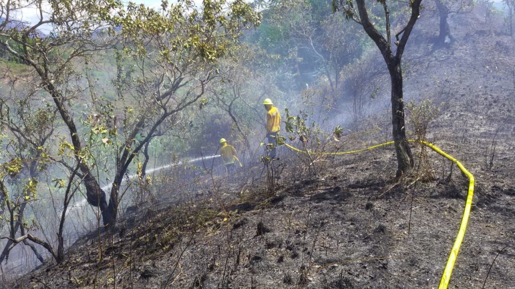 Incendios forestales en Prado, Suárez, San Luis y Chaparral
