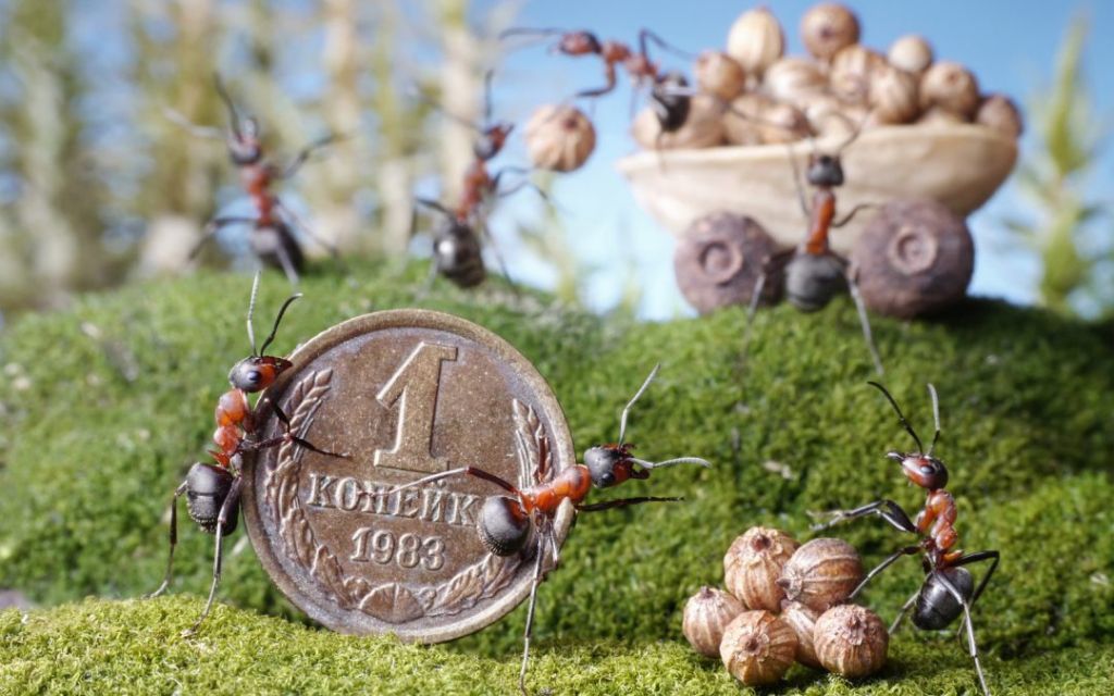 Gastos hormiga: una plaga en el bolsillo de los colombianos