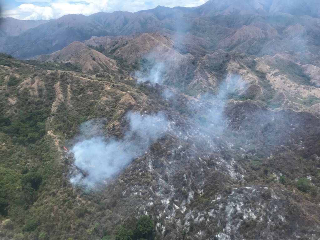 Avanza velozmente incendio forestal sobre el cerro de Pacandé