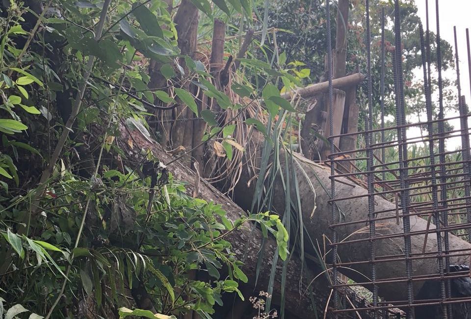 IBAL hace aclaraciones sobre bocatoma de Cay