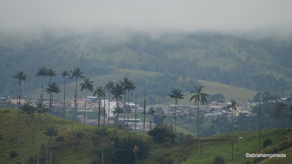 Comité Ambiental de Roncesvalles suspendió su trabajo por falta de garantías de seguridad