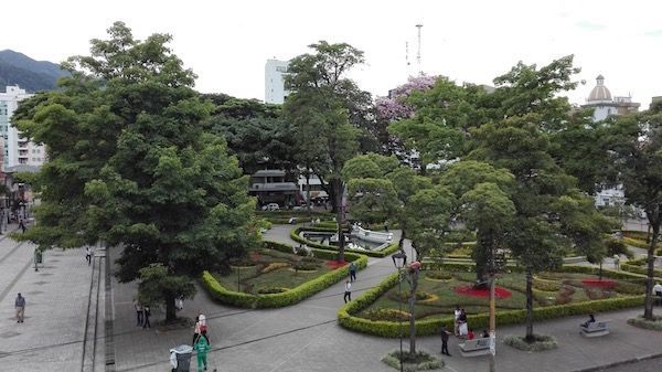 Las cigarras de Ibagué engalanan la ciudad