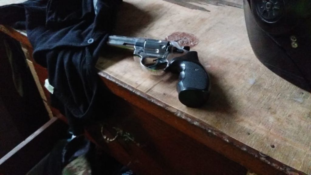 Autoridades incautaron 11 armas de fuego ilegales