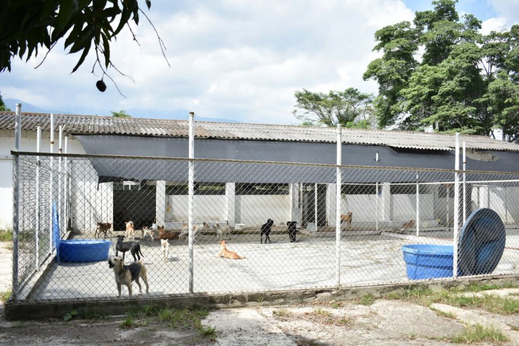 Adjudican contrato de diseños para nuevo Centro de Atención y Protección Animal