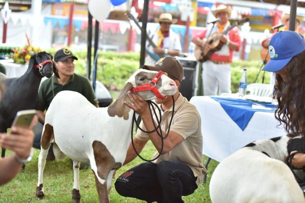 Inicia con éxito la tercera Feria Ovino Caprina de Especies Menores Y Agrícola