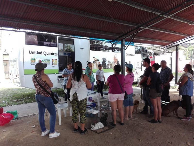 Unidad de esterilización animal estará hasta el 31 de octubre en el Coliseo de Ferias