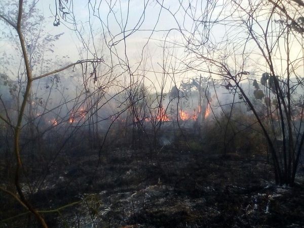 Conozca más sobre el Fenómeno de “ El Niño”