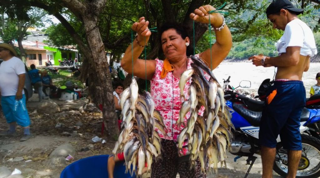 La subienda llega con alegría a Honda