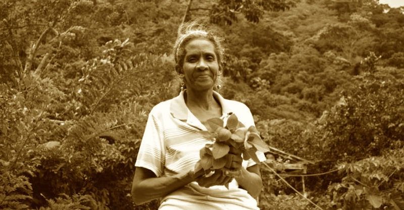 En Colombia asesinan un líder social por día