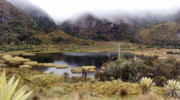 Humedales del Tolima, riqueza hídrica que se debe conservar