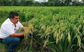 Productores agropecuarios promueven plantón para el próximo lunes