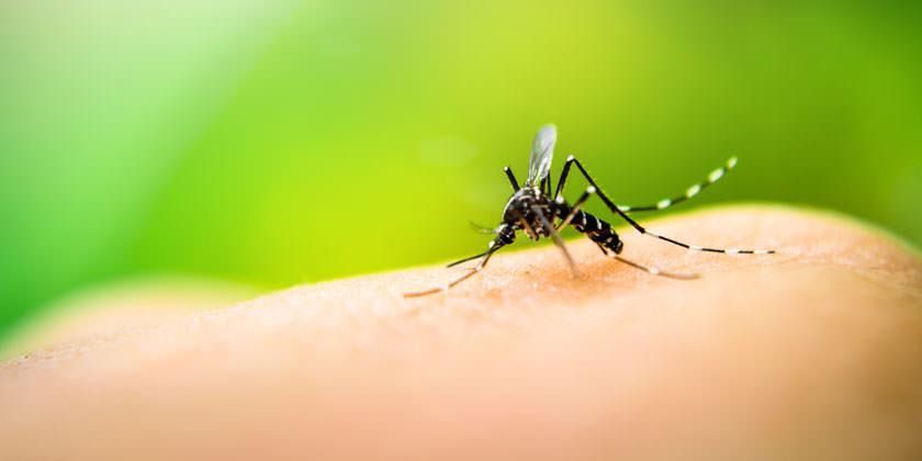 Investigan 153 posibles casos de dengue en Ibagué