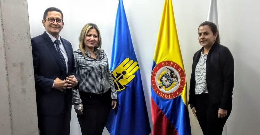 Plan de prevención de riesgo para Villarrica