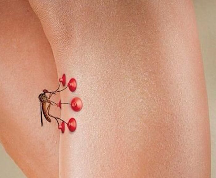 Tolima, tercer departamento con más casos de dengue