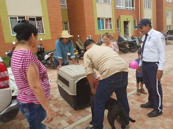 CAPA ha rescatado a 90 animales víctimas de maltrato, abandono y atropellamiento