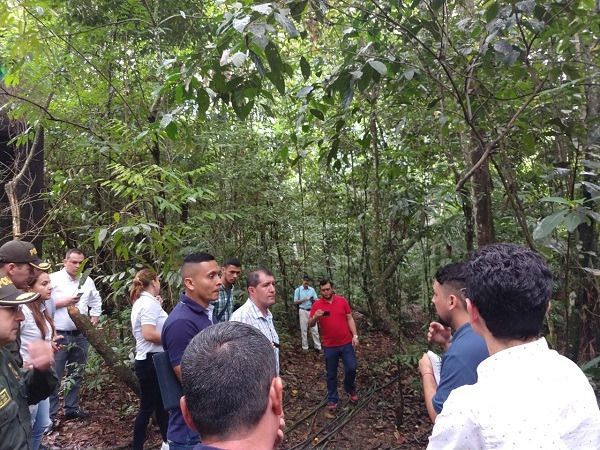 Cortolima dice acción popular de protección de la Reserva Forestal Protectora de las quebradas El Peñón y San Juan