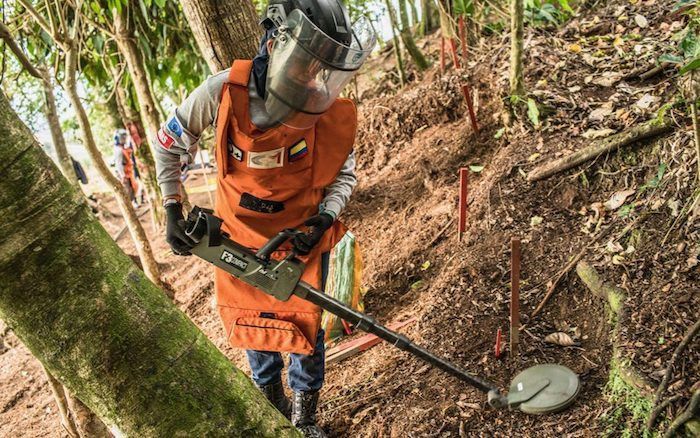 Gobierno nacional entregará seis municipios libres en minas antipersonal