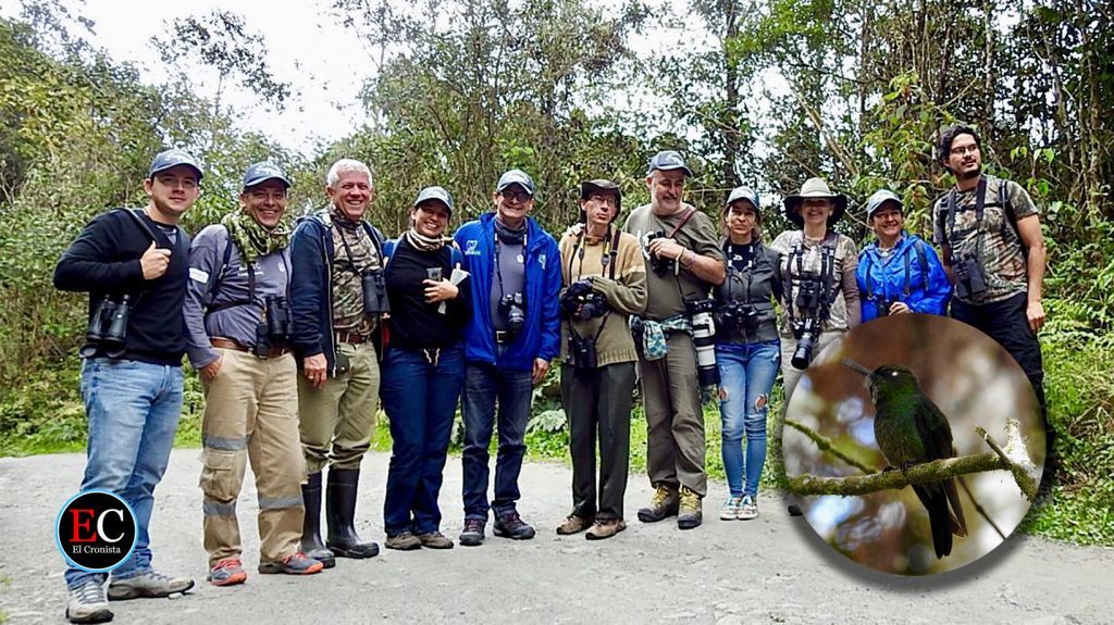 El Global Big Day descrestó con más de 70 especies de aves este sábado