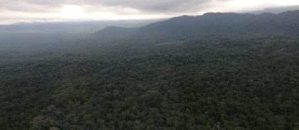 La declaratoria del bosque Galilea como área protegida motivo para celebrar el día Mundial del Medio Ambiente