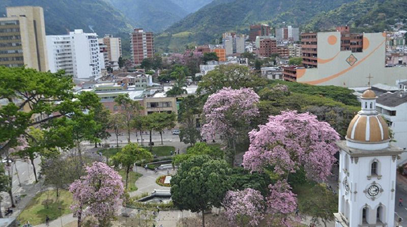 Cifra de homicidios en Ibagué, disminuyó un 10% en comparación a 2018