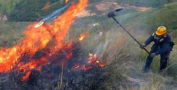 Prevenir incendios forestales tarea de todos: Cortolima