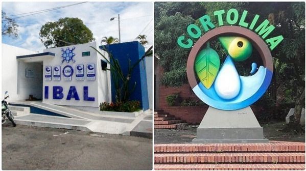 Juez niega tutela interpuesta por el IBAL contra Cortolima