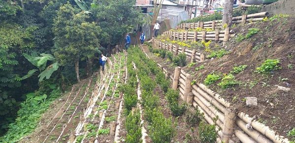 Se entregan obras de bioingeniería para mitigar riesgos en el Líbano