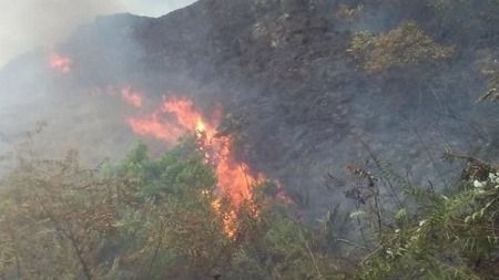 Comienzasn los incendios forestales en el Tolima