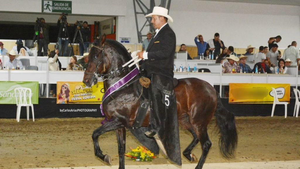 A partir de hoy se dará apertura a la Cuarta Feria del Equino