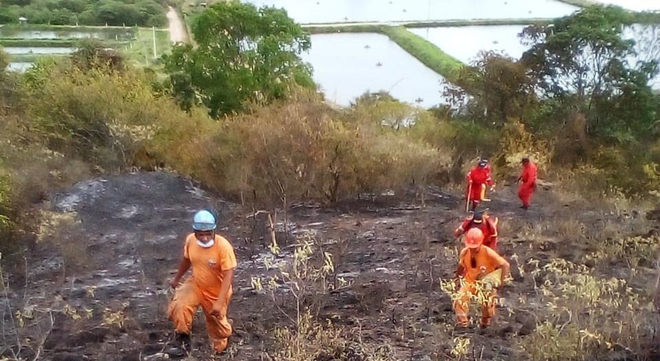 Incendio forestal en Natagaima invadió varias hectáreas