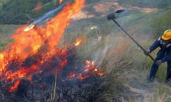 30 hectáreas de bosque ha consumido el fuego en el Tolima