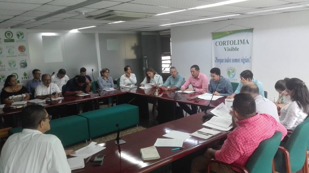 Cortolima solicitará a la ANLA suspensión de obras en el Cerro “El Fraile” en Gualanday por posibles erosiones