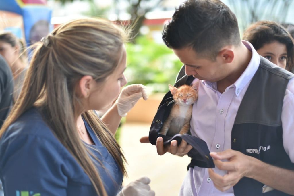 Conozca el calendario de vacunación gratuita para sus mascotas en Ibagué