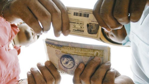 Tres municipios presentan trashumancia al ser confrontados con censo