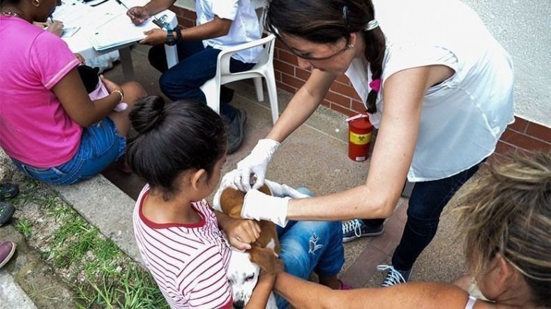 Hoy jornada de vacunación para mascotas en varias comunas de Ibagué