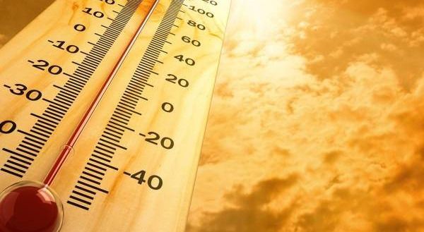 El Departamento del Tolima adelanta políticas contra el Cambio Climático