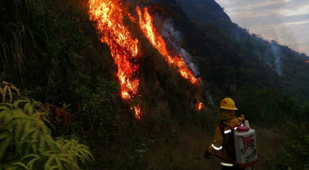 Tres incendios forestales se registraron en el Tolima por altas temperaturas